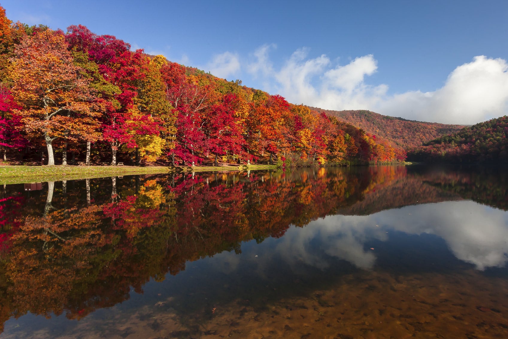 fall foliage: fall tree care in PA