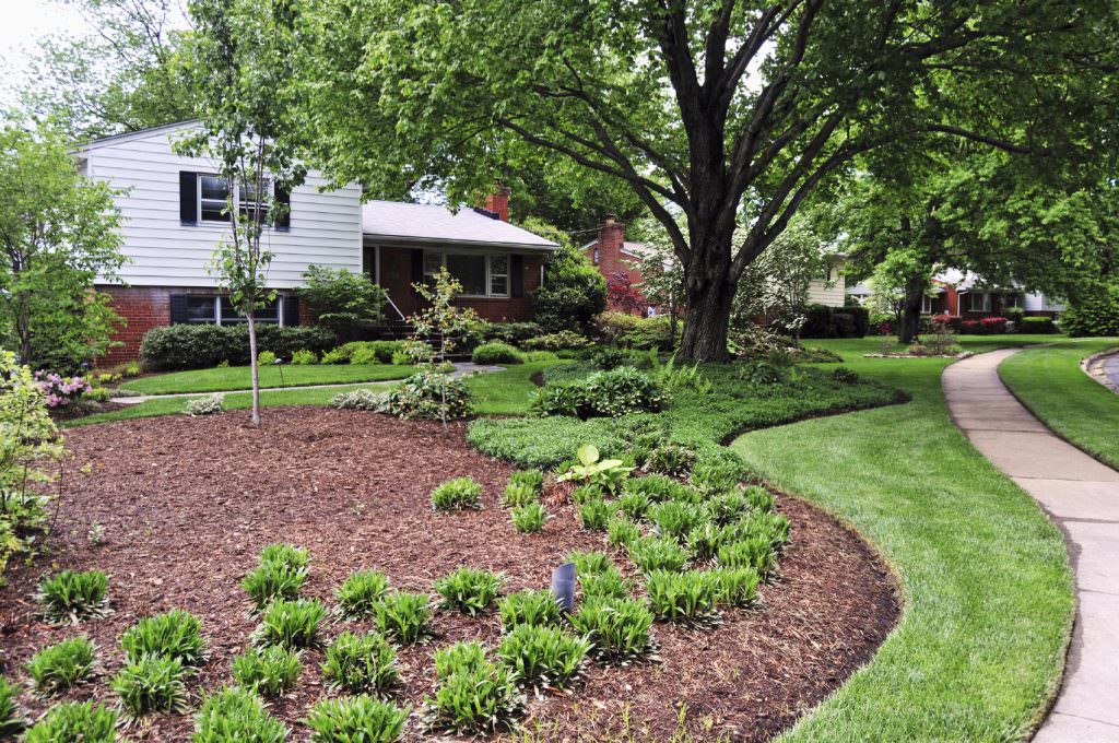 plant health care - tree mulch & landscaping PA